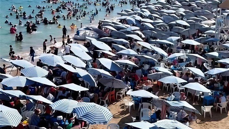 شواطئ الإسكندرية