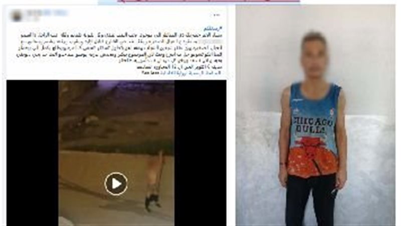 فيديو أثار الجدل