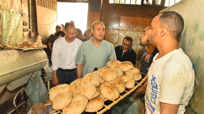 محافظ أسيوط يتفقد