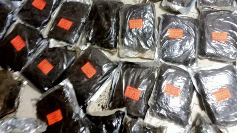 الأعشاب منتهية الصلاحية