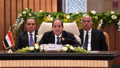 السيسي ينجح في تحويل العلاقات المصرية العربية إلى الاستثمار والتنمية والمشروعات المشتركة