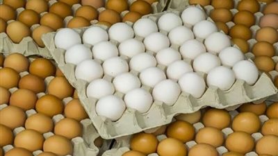 ارتفاع الأحمر والأبيض، سعر كرتونة البيض اليوم الأحد في بورصة الدواجن