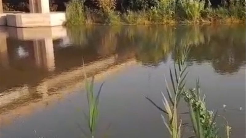 صورة من موقع الكسر،فيتو