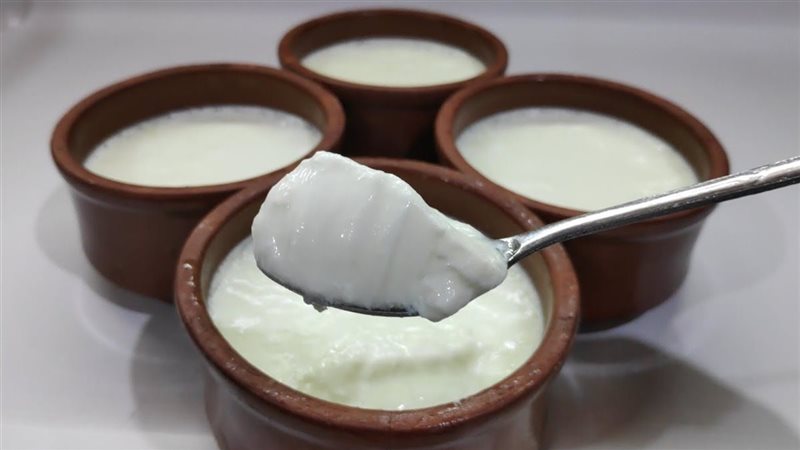 طريقة عمل الزبادي،