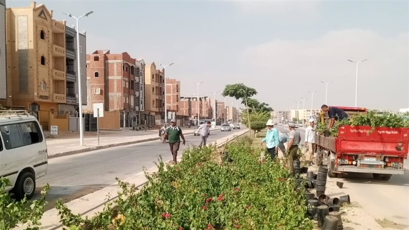 مشروعات