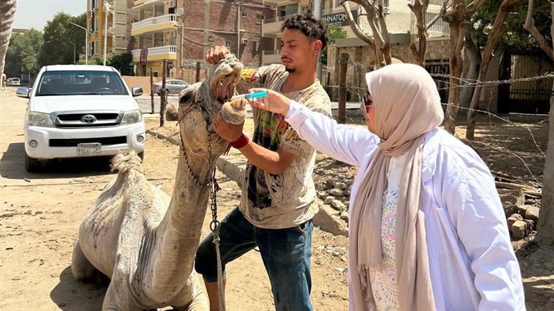 حملة بيطرية بمنطقة
