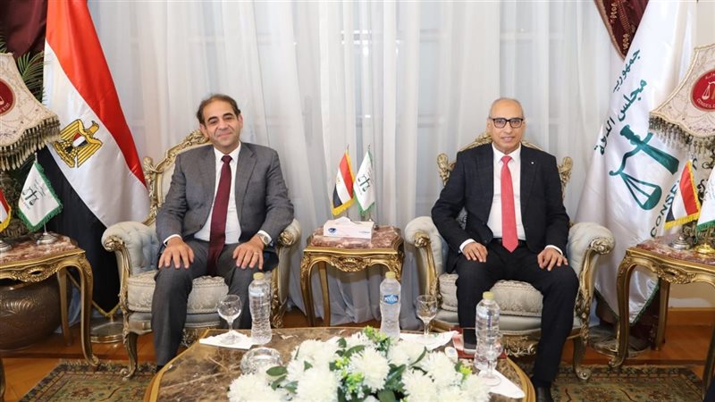 المستشار محمود أبو