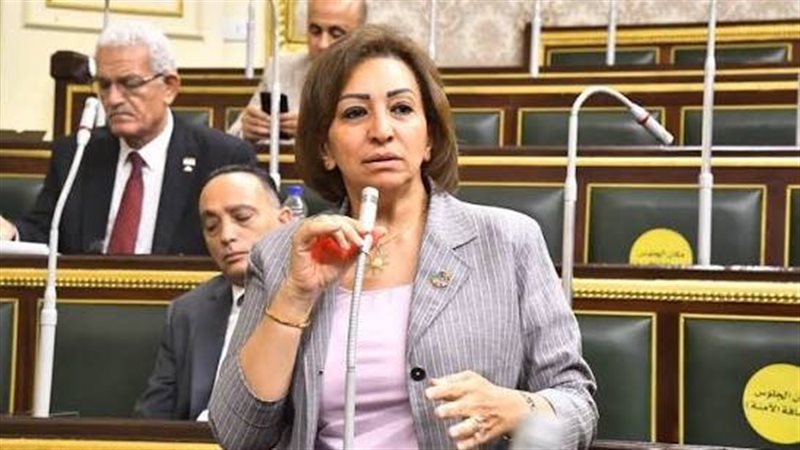 النائبة مها عبد الناصر