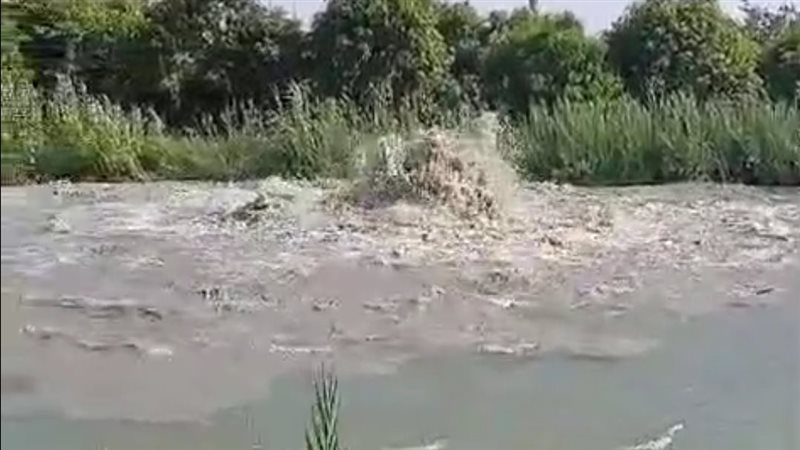 موقع الحادث، فيتو