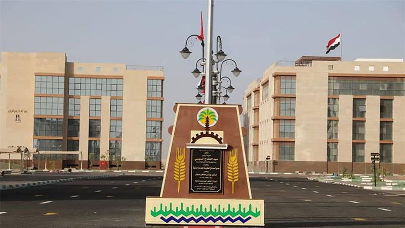 الوادي الجديد، فيتو