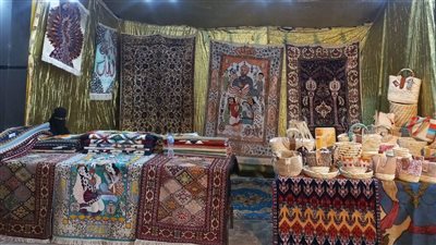 تفاصيل مشاركة الفيوم 