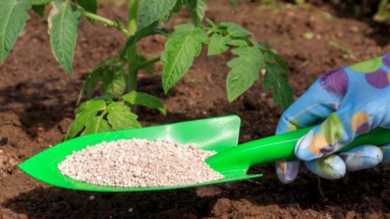 انخفاض النترات العادي 2268 جنيها، أسعار الأسمدة اليوم في الأسواق