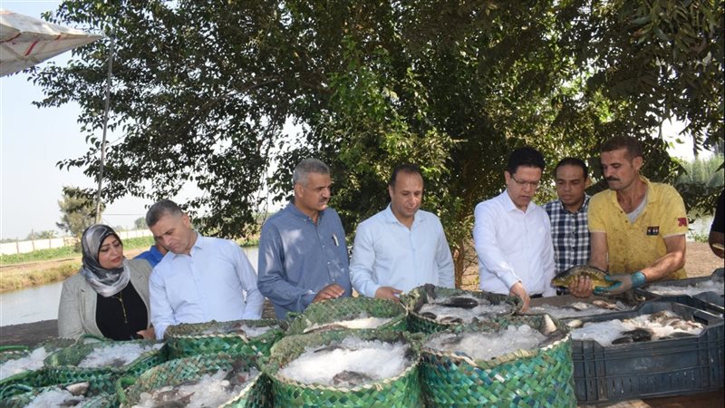 رئيس جامعة بنها،