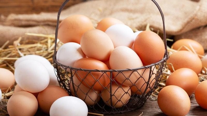 سعر كرتونة البيض