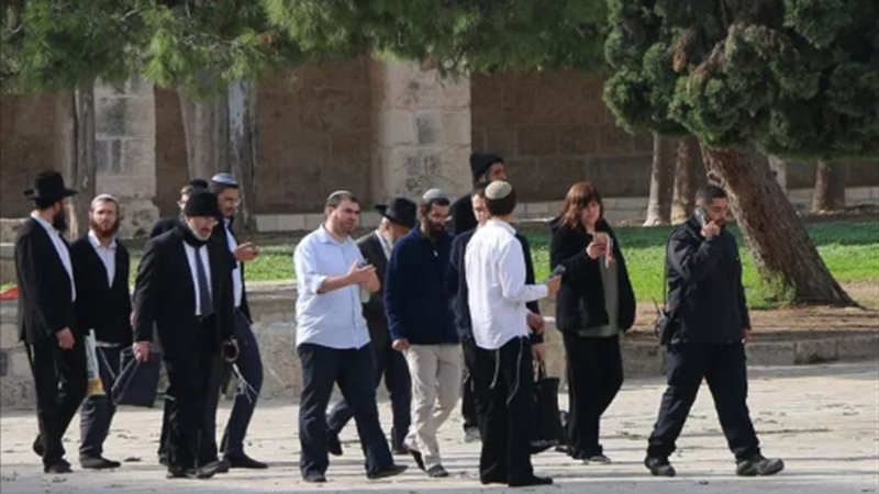 المستوطنين