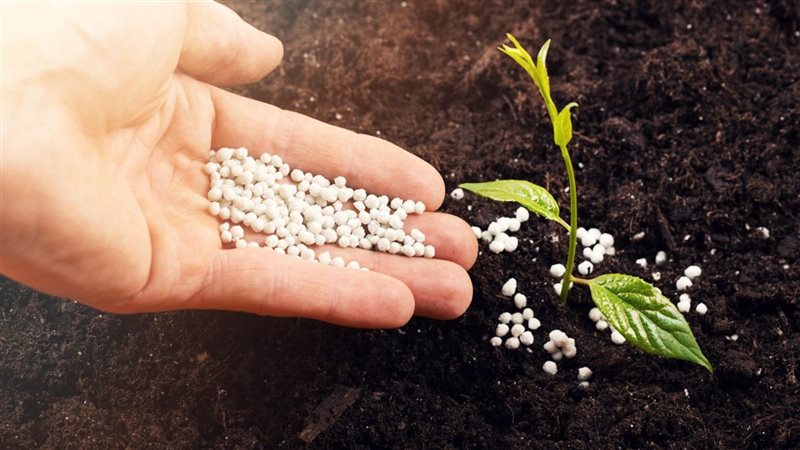 أسعار السماد اليوم،