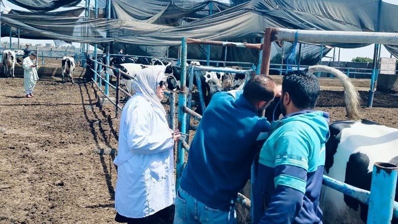 بيطري الشرقية الانتهاء