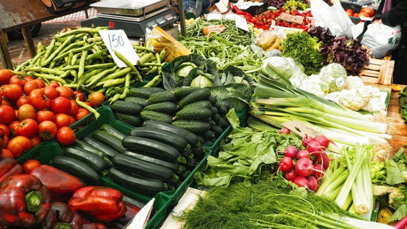 سعر الخضار اليوم