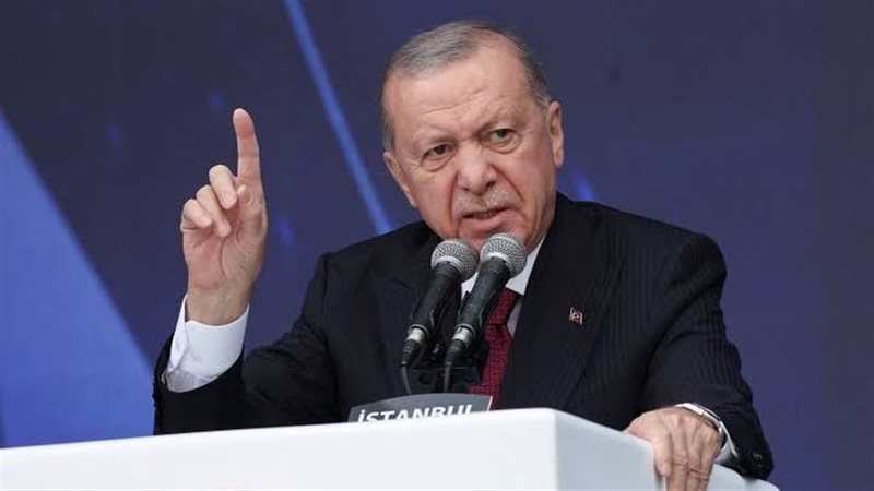 أردوغان، فيتو
