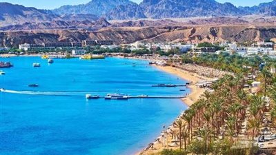 وائل زعير: 9 ملايين سائح زاروا مصر فى النصف الأول من الحالي (فيديو)  