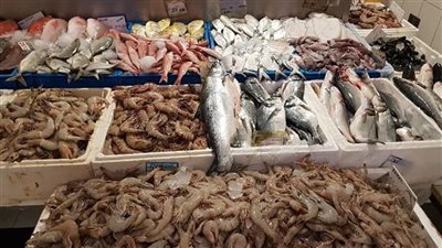 أسعار السمك اليوم، البلطي يتهاوى إلى 63 جنيها وارتفاع قشر البياض والجمبري