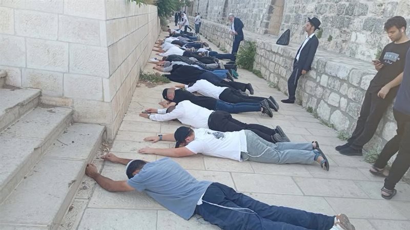 مستوطنون ينبطحون