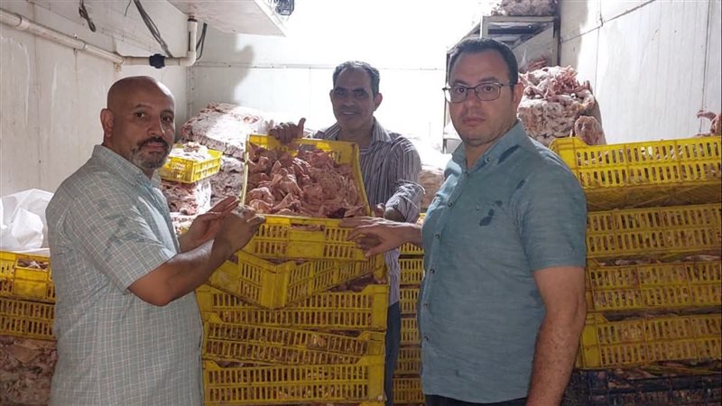 ضبط الدجاج الفاسد