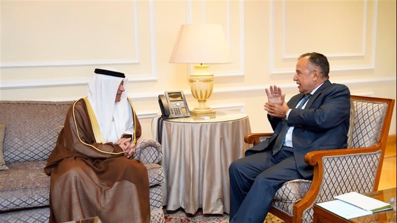 نبيل فهمي وأمين عام