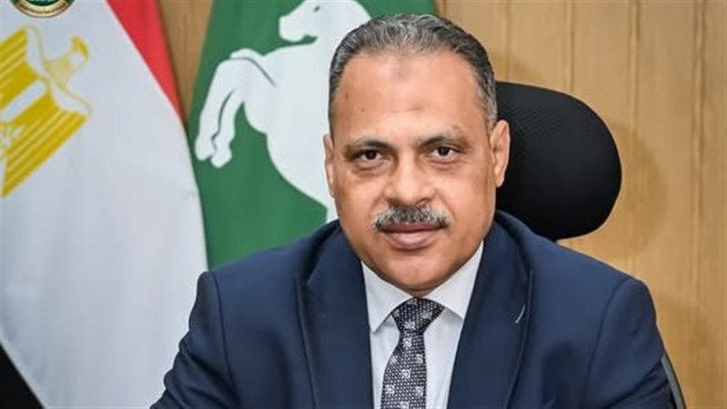 محافظ الشرقية