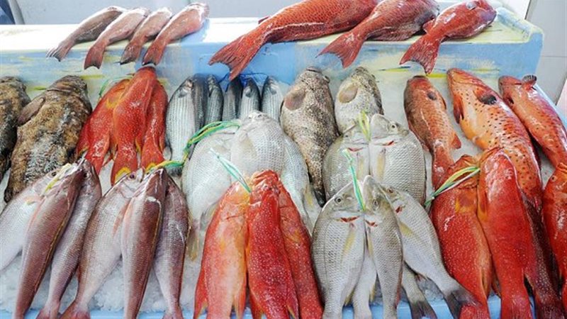 أسعار السمك اليوم،