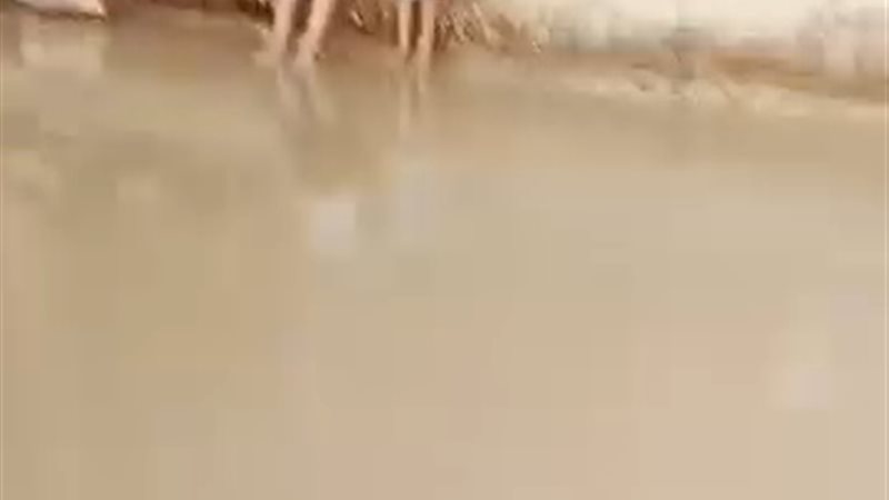قنا، فيتو