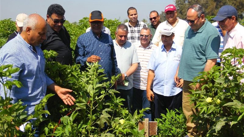 نشاط مركز البحوث