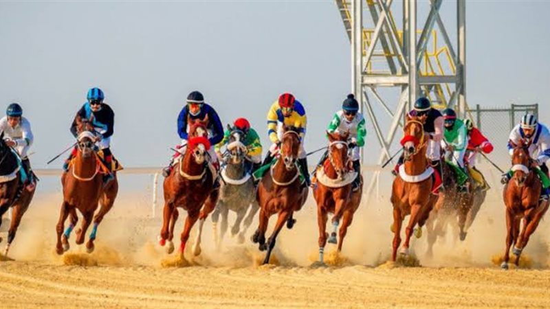 سباق الخيل 