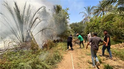 حريق داخل منطقة زراعية في الفرافرة بالوادي الجديد