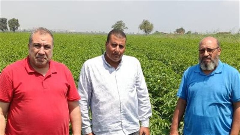 معهد بحوث القطن،