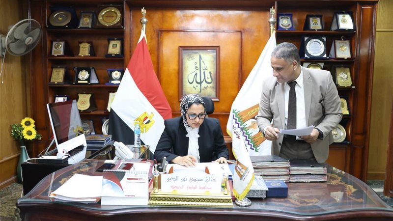  حنان مجدي، محافظ