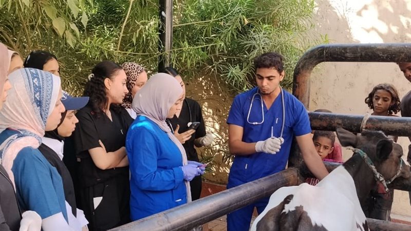 قوافل طبية مجانية