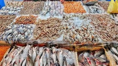  أسعار السمك اليوم ترفع شعار 