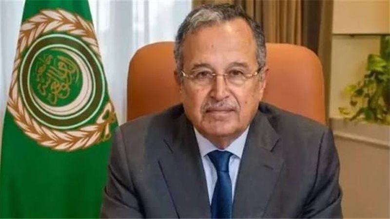 نبيل فهمى، الامين