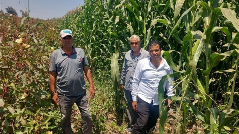  زراعة الشرقية تتابع