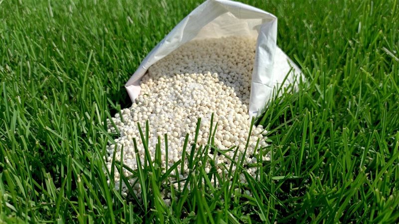 أسعار السماد اليوم،