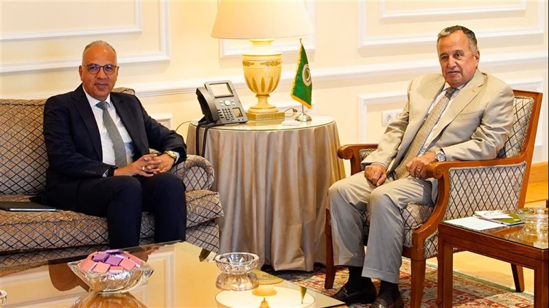 نبيل فهمى ووزير الموارد