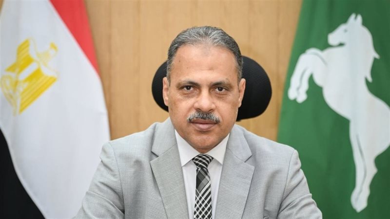  محافظ الشرقية