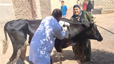 جامعة الفيوم تنظم قافلة بيطرية بعزبة الشافعي بطامية