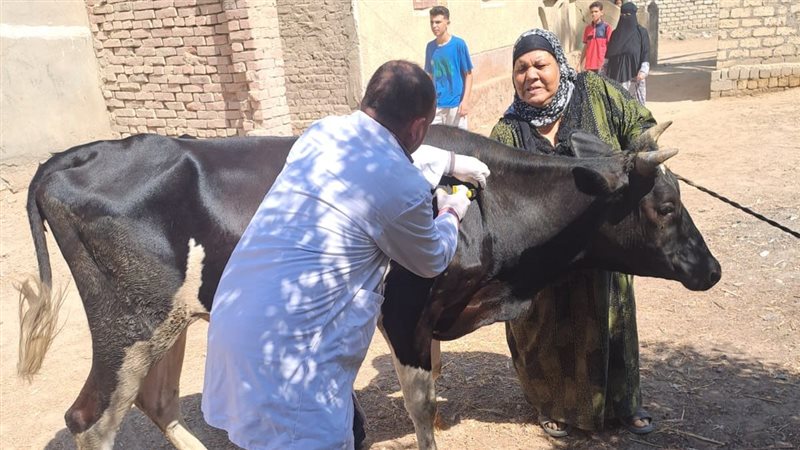 قافلة بيطرية، فيتو