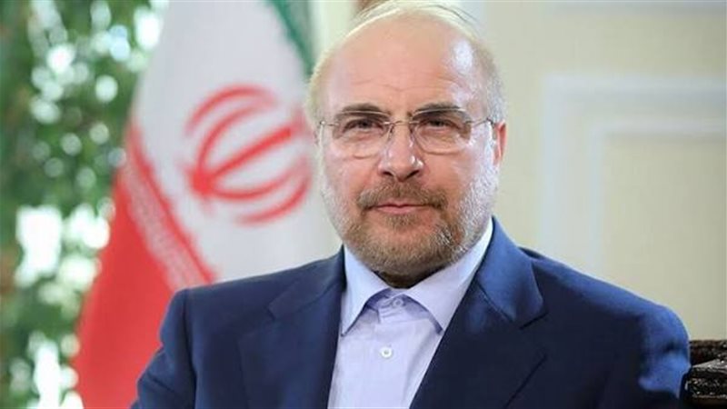رئيس البرلمان الإيراني،