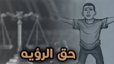 أزمة تعطيل تنفيذ أحكام الرؤية تحت قبة البرلمان، لماذا تطالب الأحزاب بكتاب دوري وتنظيم للاستضافة؟