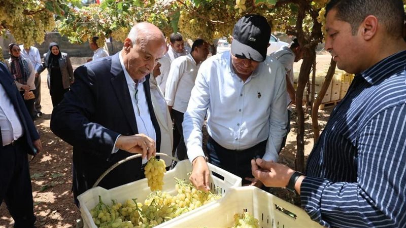 محافظ المنيا يتفقد