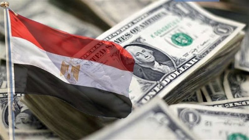 اقتصاد، فيتو 