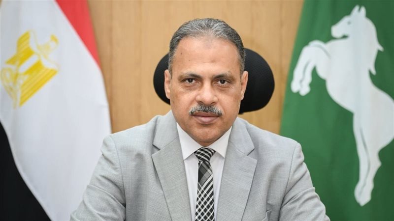 محافظ الشرقية